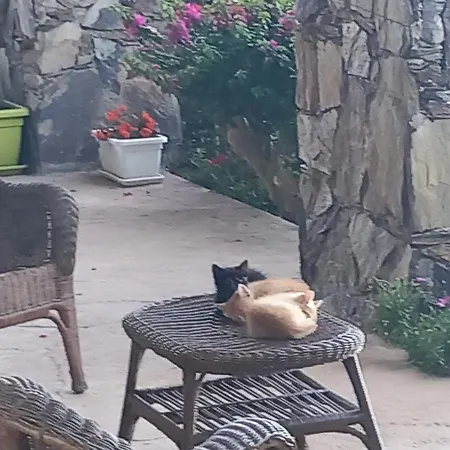 Casavacanze Tarke Hébergement de vacances *