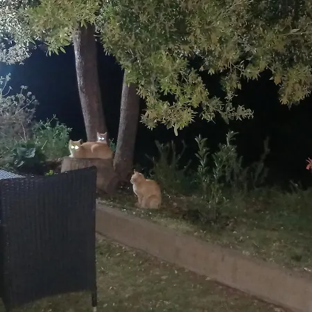 Casavacanze Tarke * Siniscola