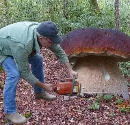 Casavacanze Tarke Hébergement de vacances