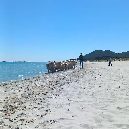 Hébergement de vacances Casavacanze Tarke Siniscola